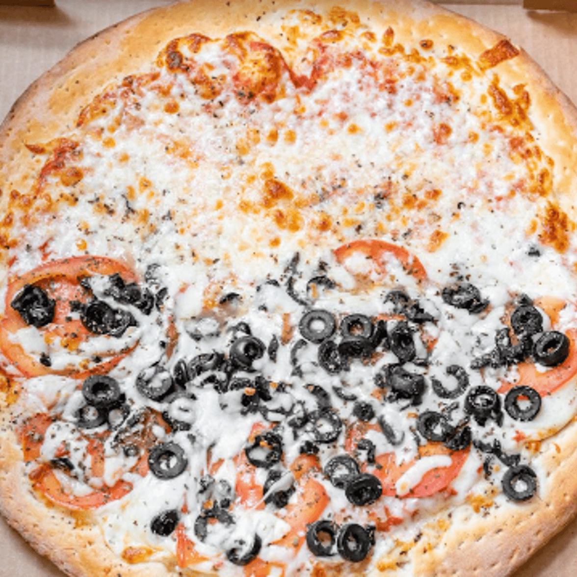 Serving Florida For Over 20 Years