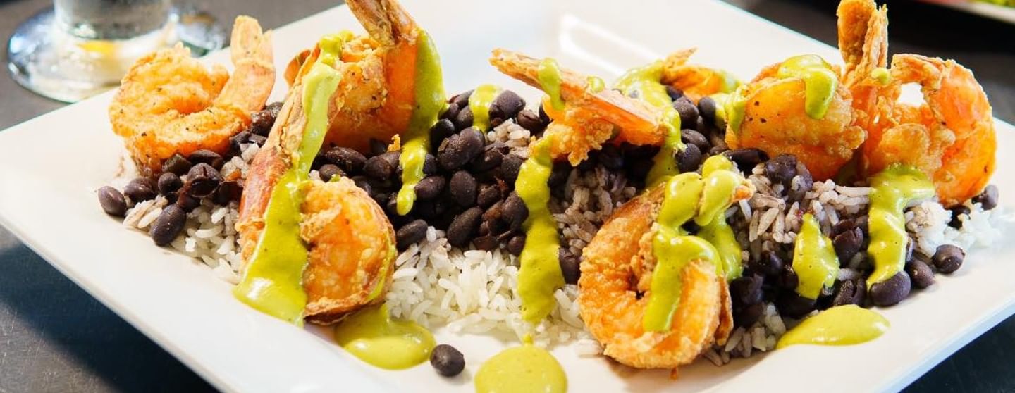 Fernandez The Bull Cuban Grill Rewards