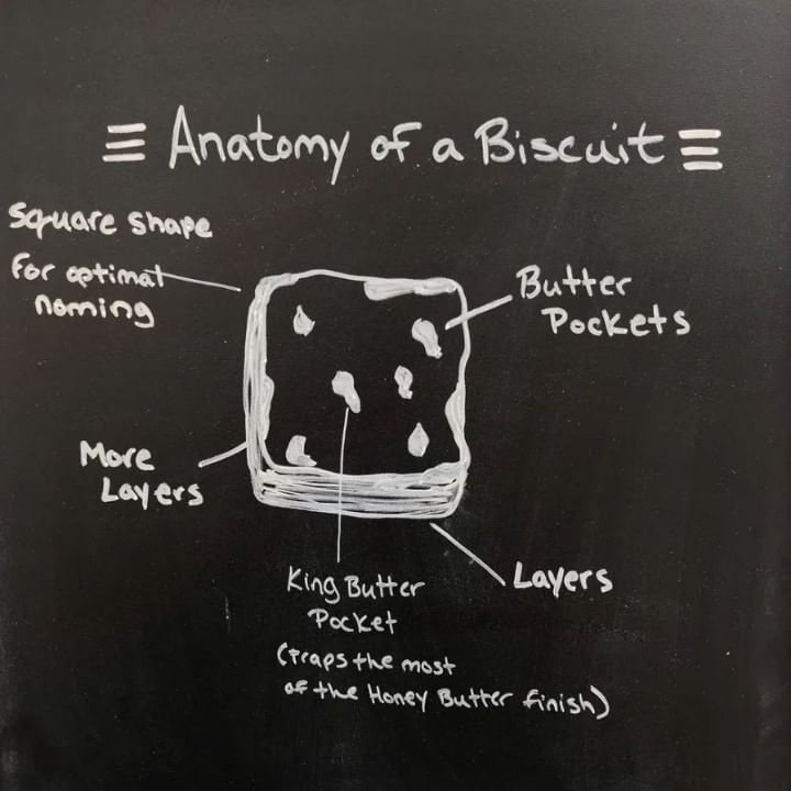 ANATOMY OF A BISCUIT