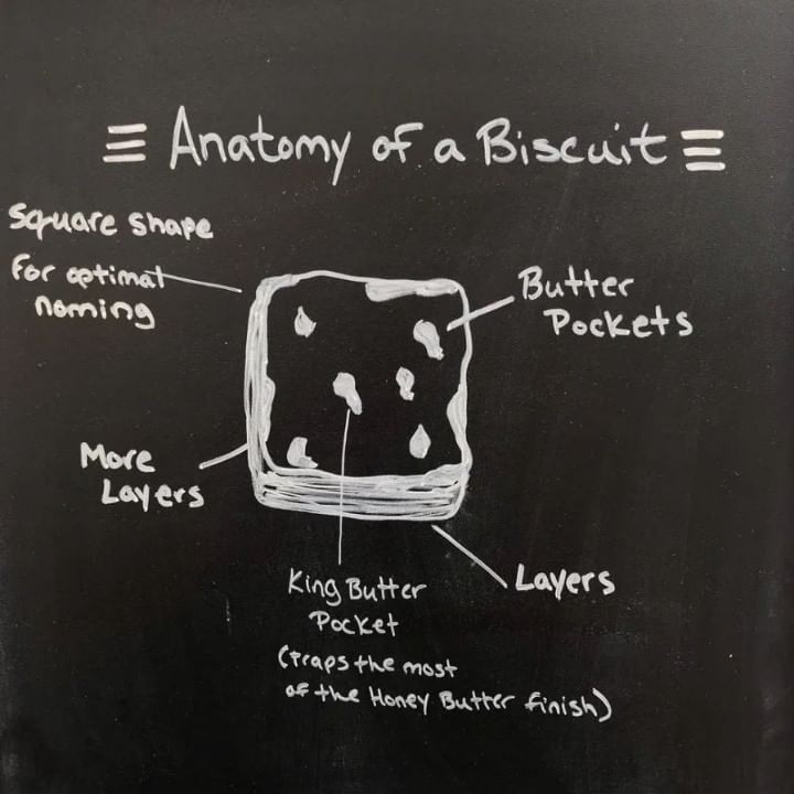 ANATOMY OF A BISCUIT