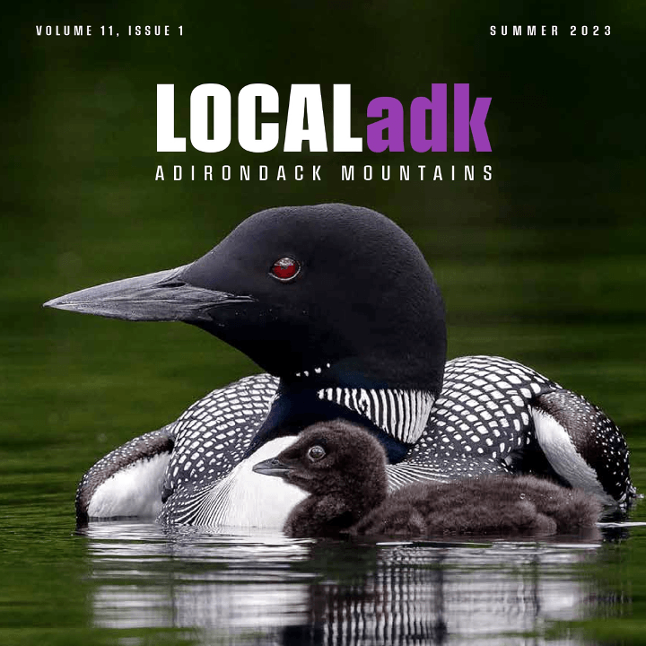 Check Out Our Local ADK Article!