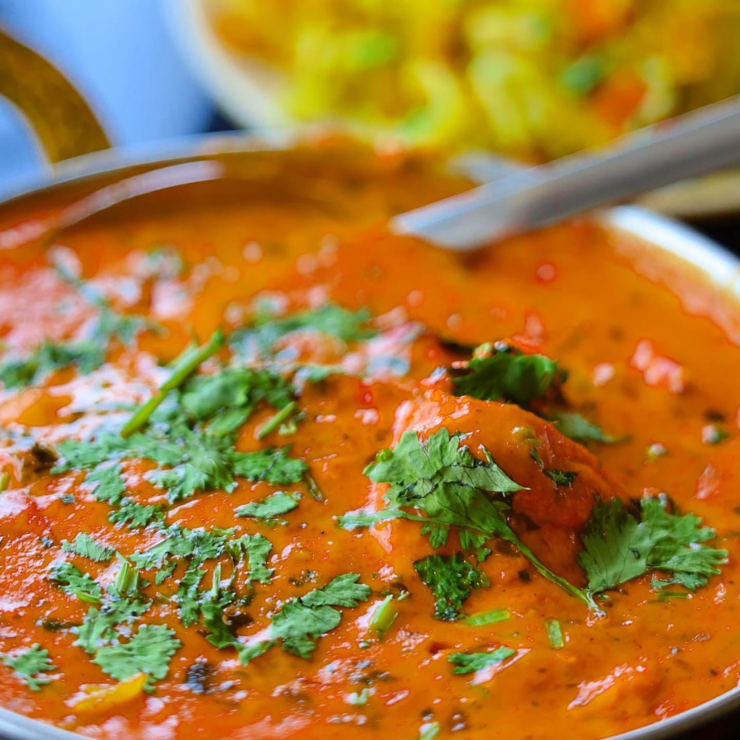 Delicious Food from Northern India