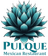Pulque Restaurant