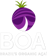 BOA Açaí