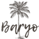 Baryo