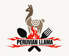 Peruvian Llama