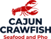 Cajun Crawfish #2 - Seafood and Pho 