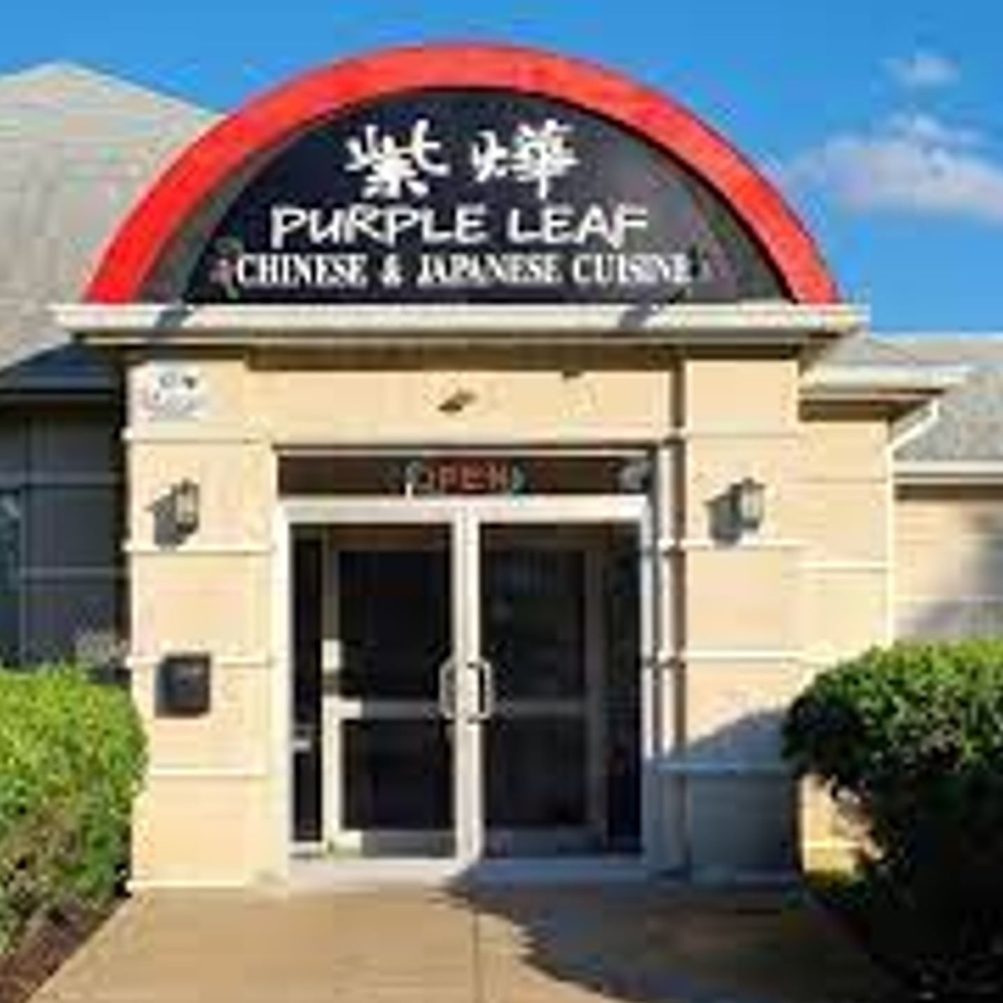 Purple Leaf @ Yardley