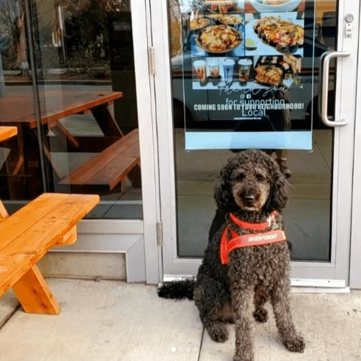 Dog-Friendly Haven!