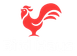 Bird Haus