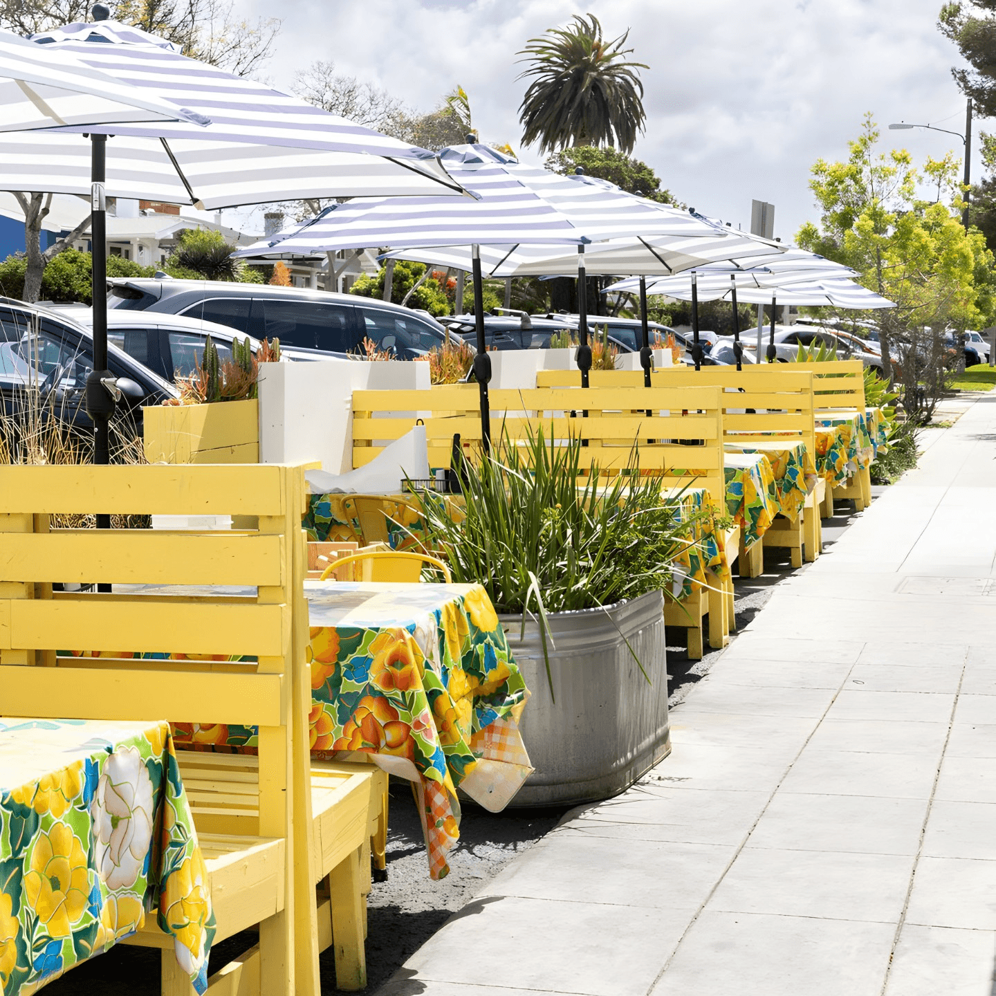 The Dine-In Experience