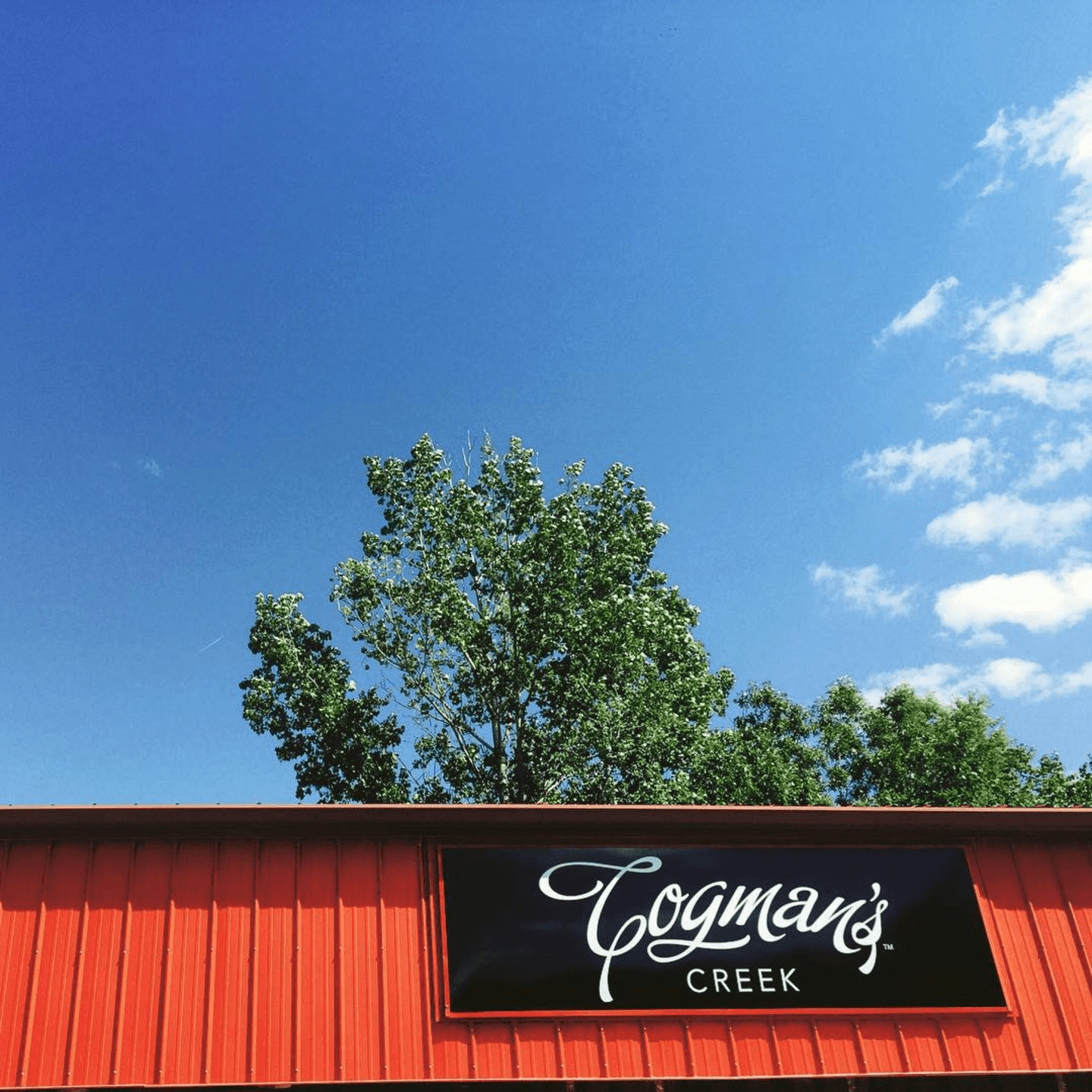 Easy, Fresh, and Local