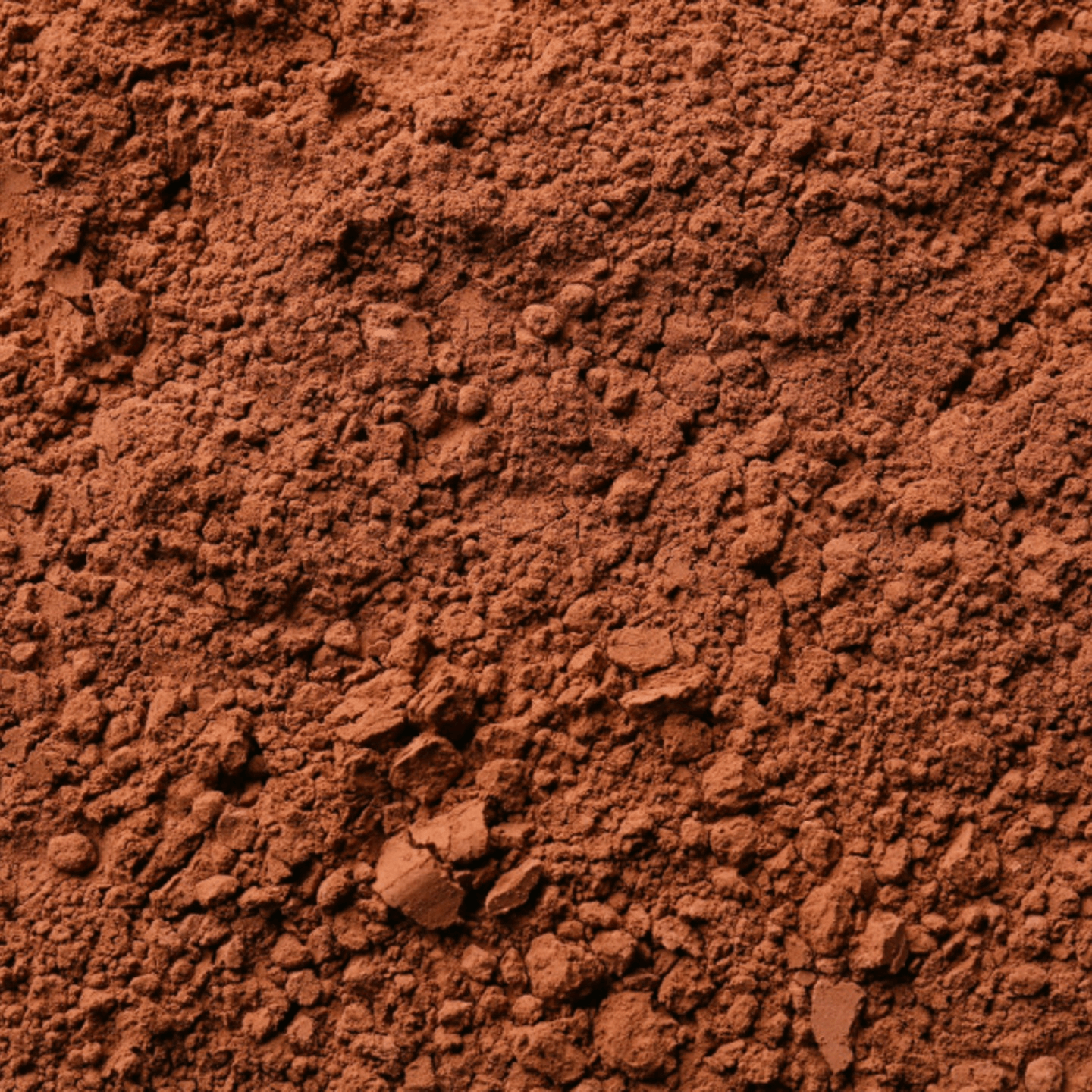 Cacao Powder
