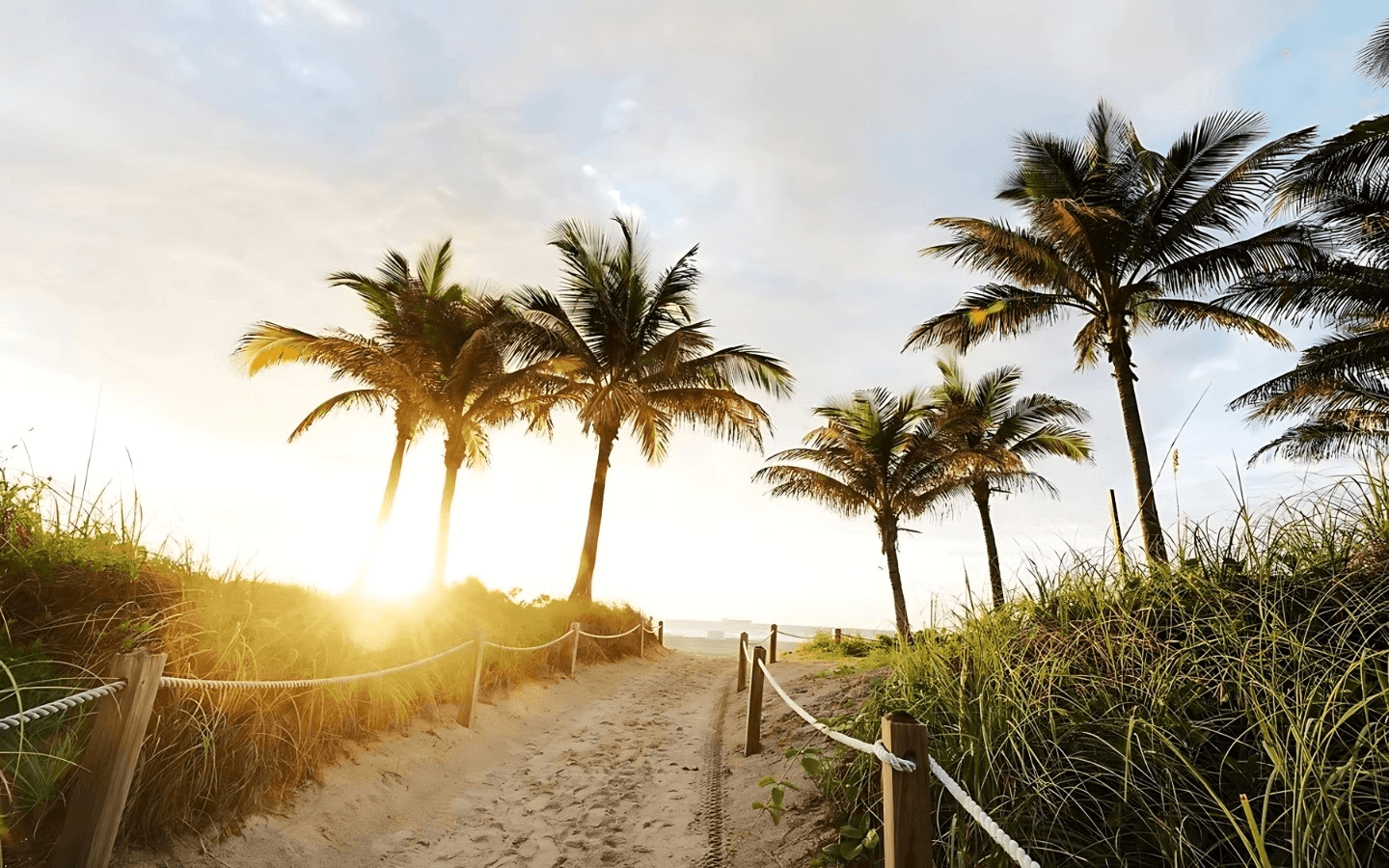  Our Sustainability Story