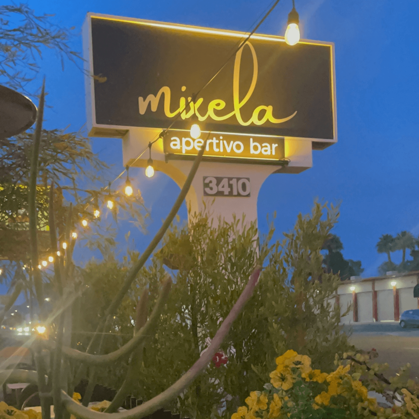 welcome to mixela