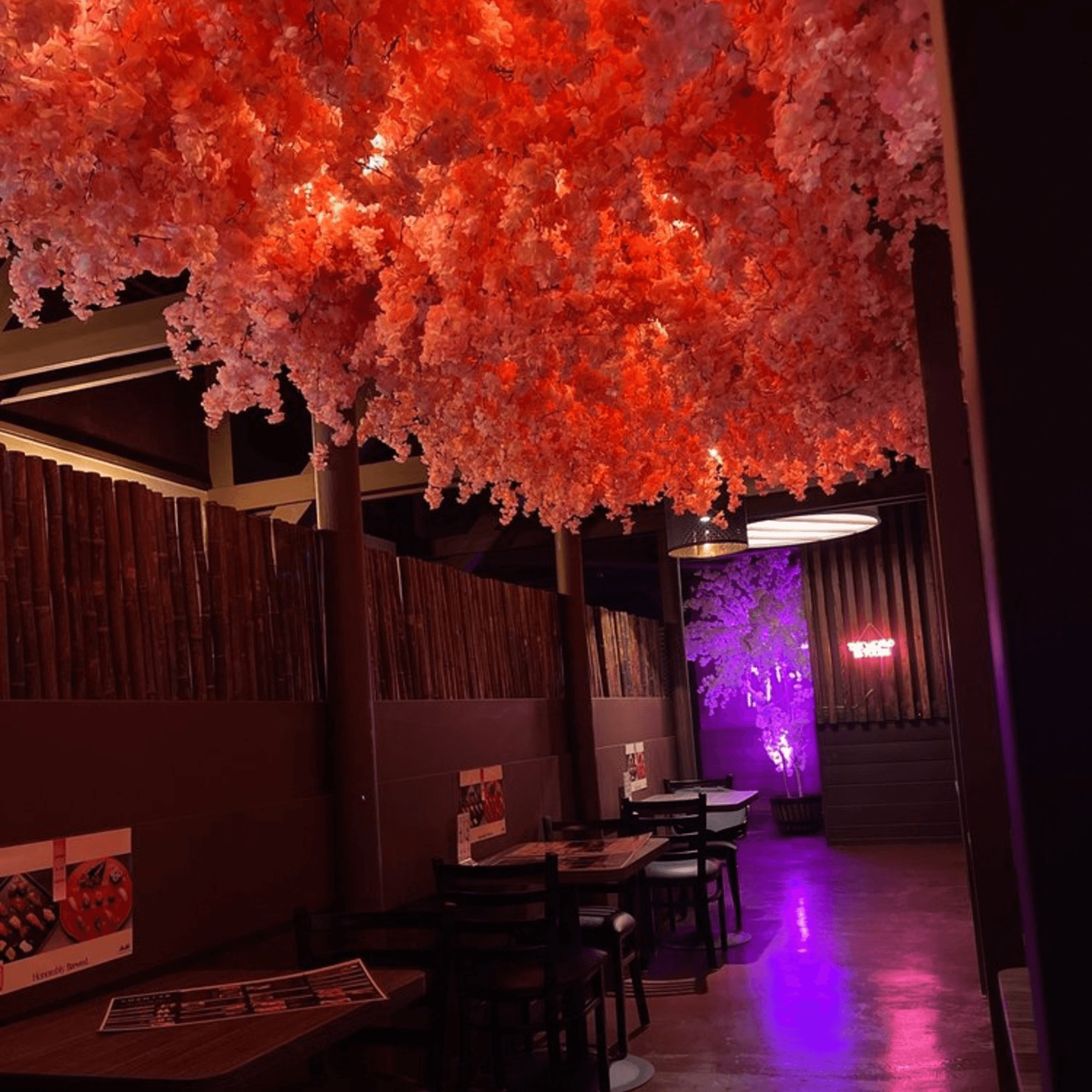 Sushiya gallery image #14