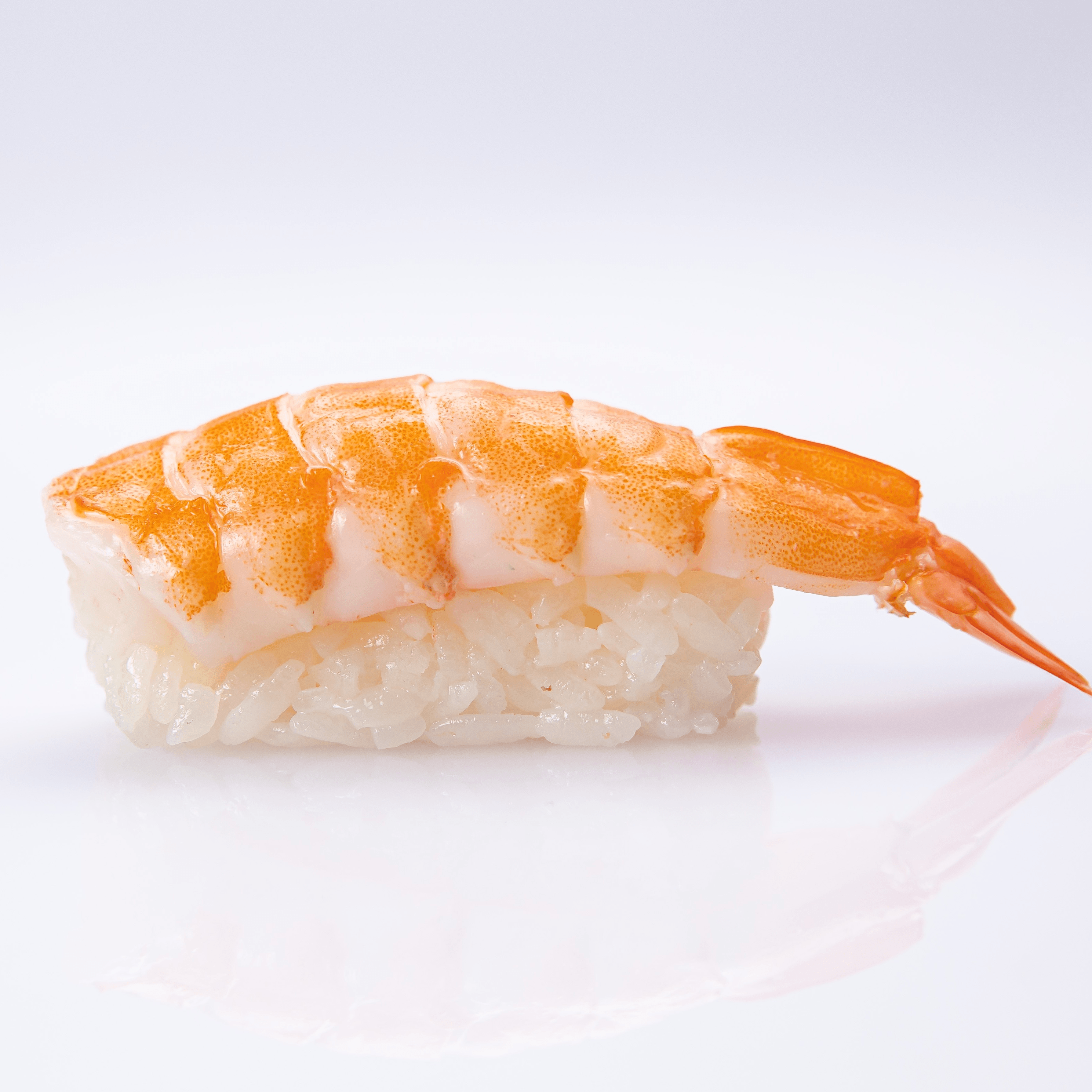 Shrimp Nigiri.