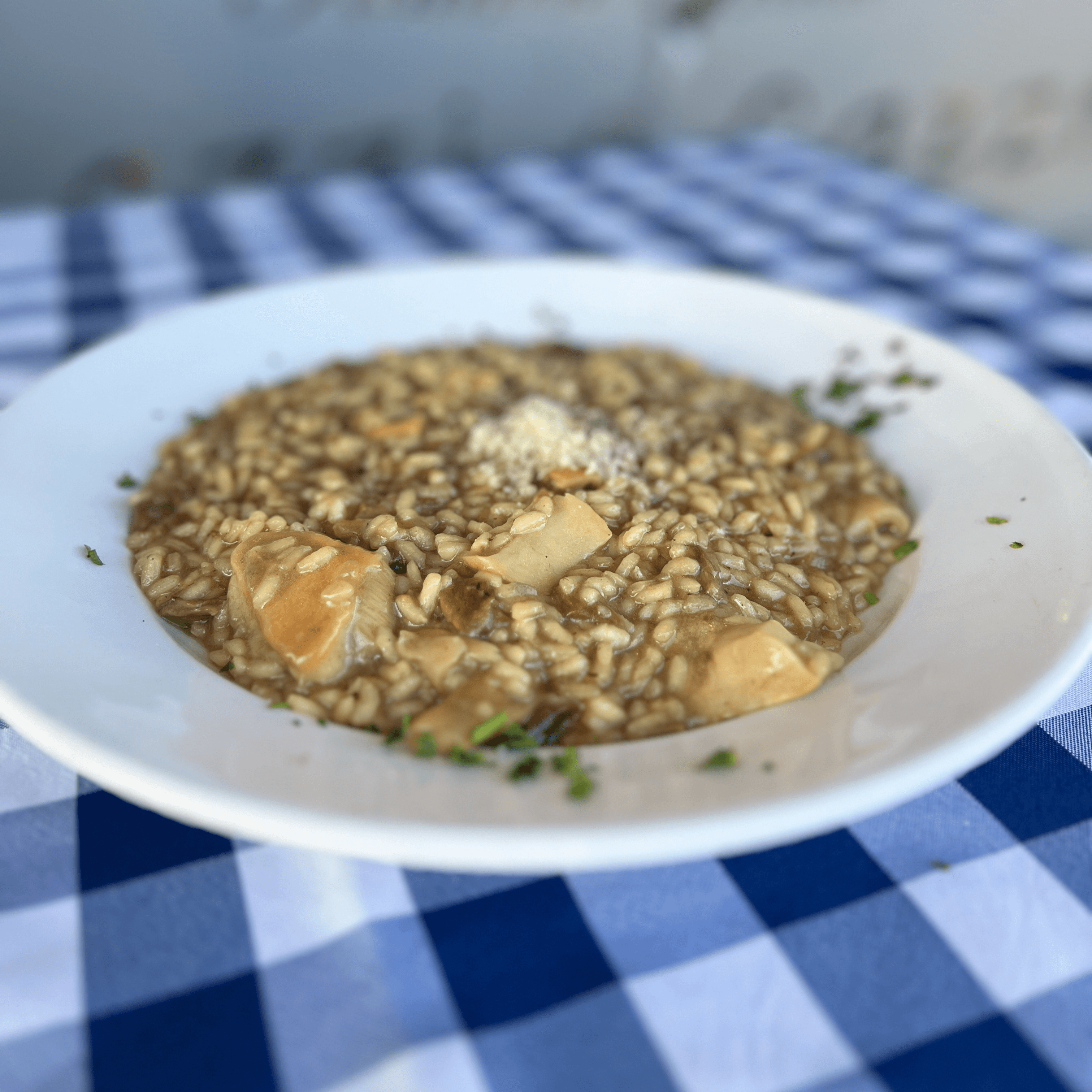 Risotto Porcini Mushrooms.