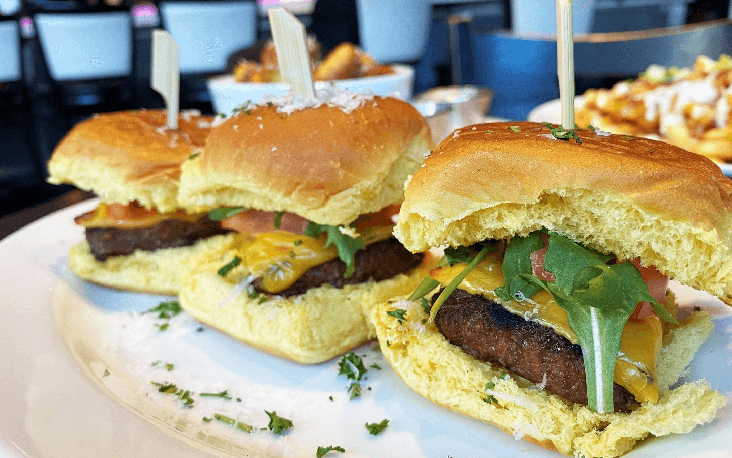 VB3 Pizzeria Rewards