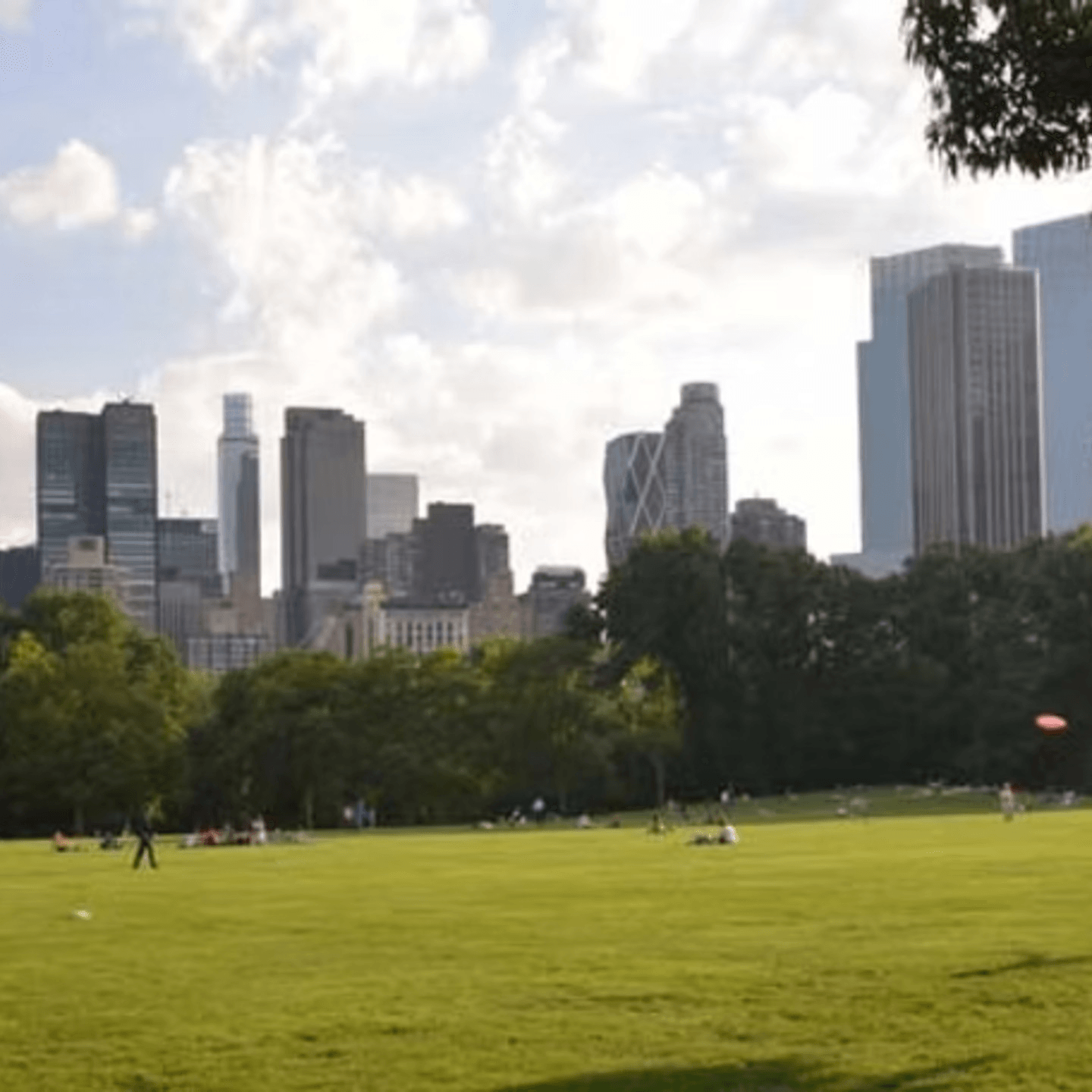 Sheep Meadow
