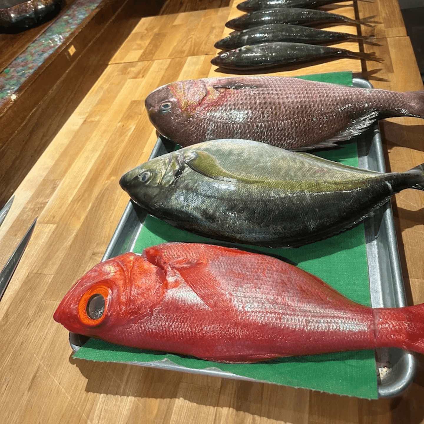 Dive Into Quality Fish You’ll Love