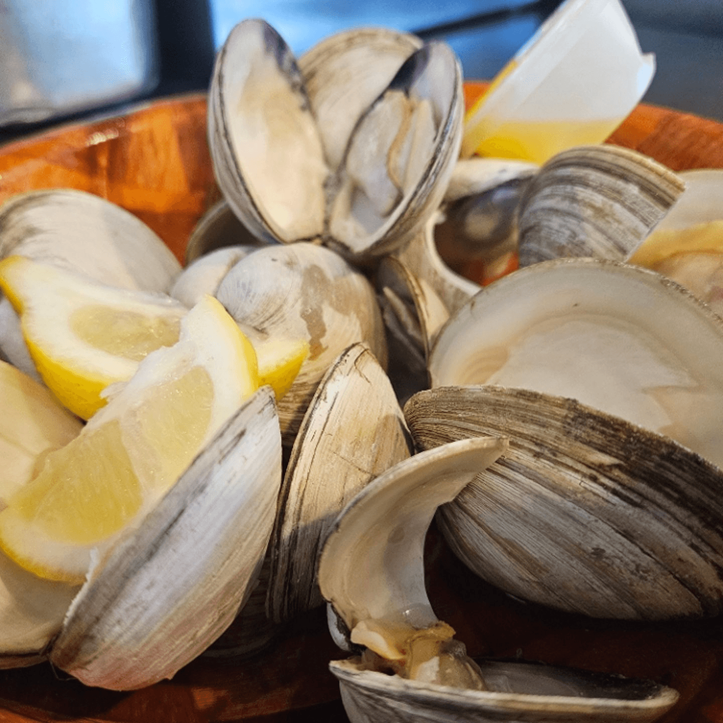 Wednesday - Raw Clams (10).