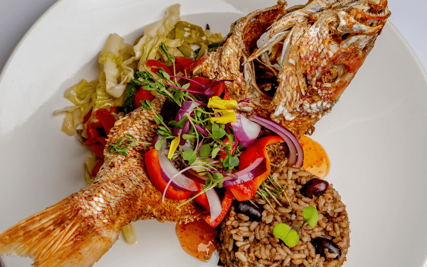 Join Taste of the Caribbean Rewards Program