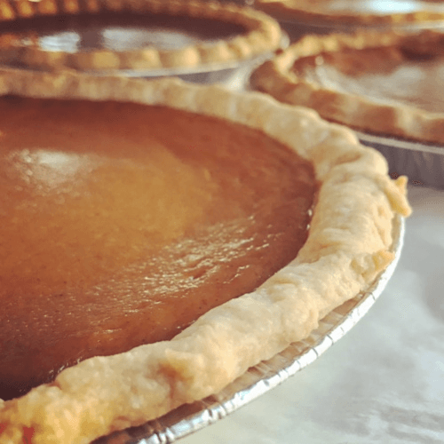 9" Vegan Pumpkin - Whole (T).