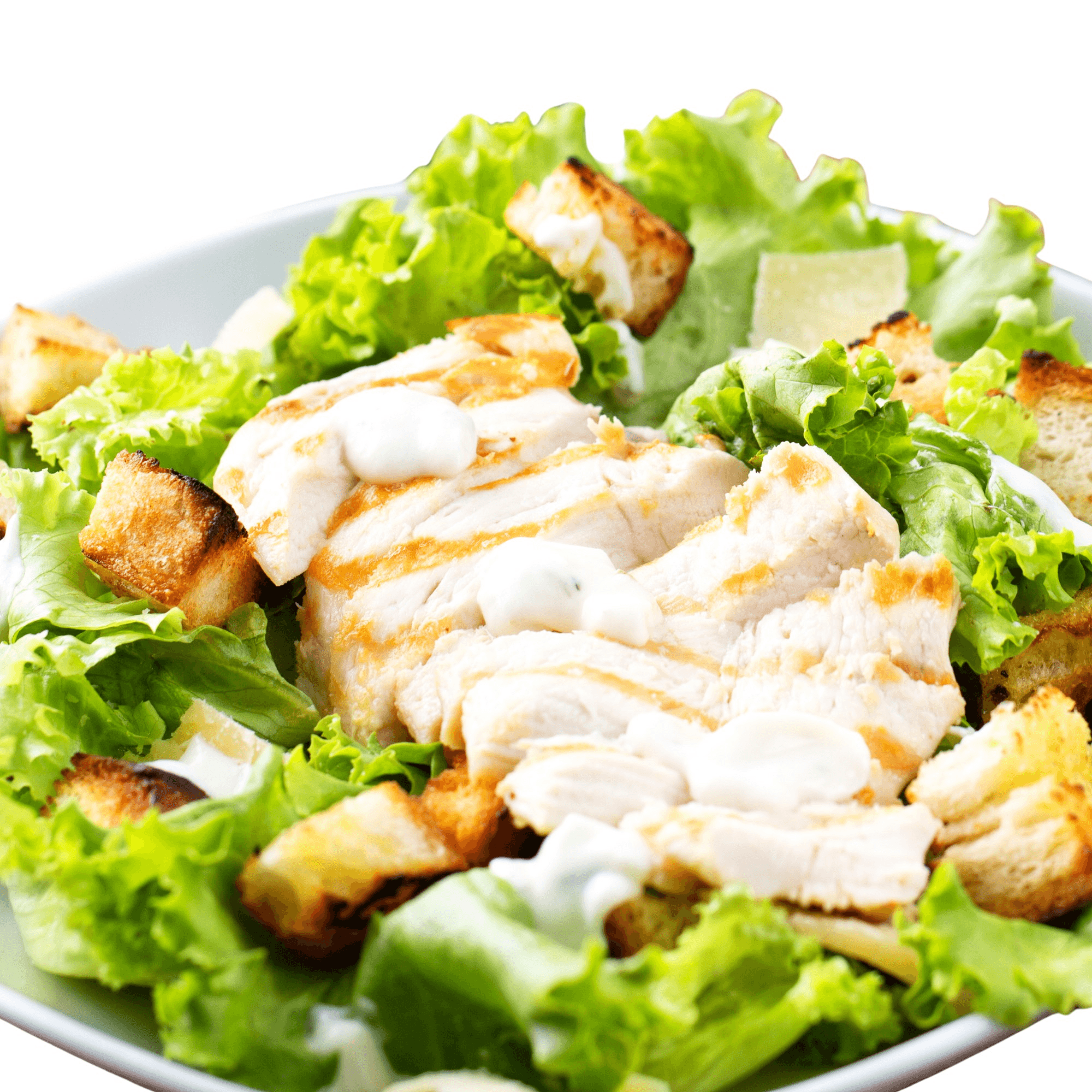 House Salad with Grilled Chicken.