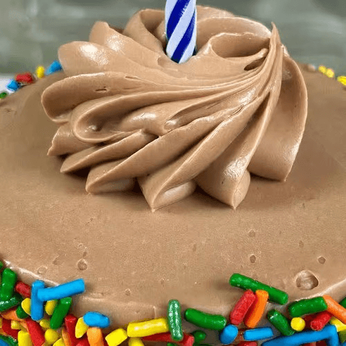  3" Chocolate Celebration Sprinkle Birthday Cake-Individual