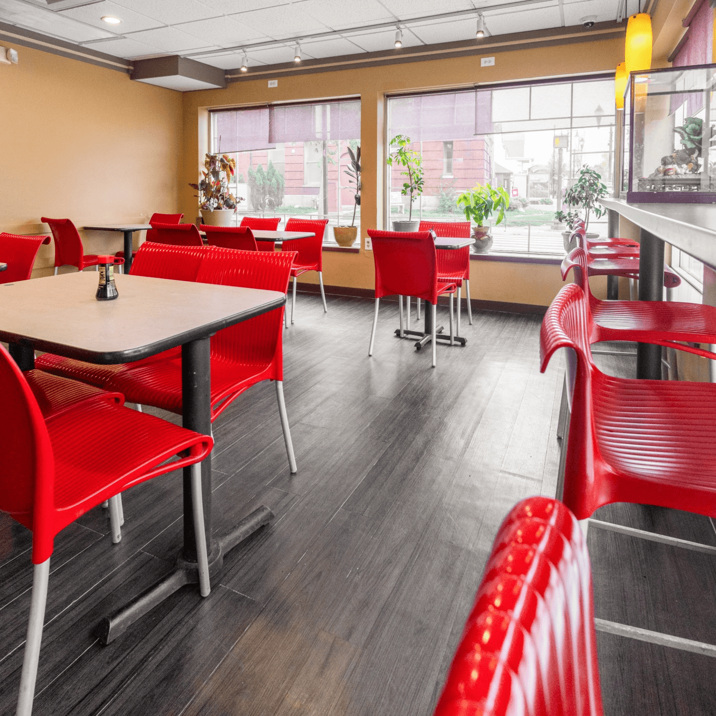 Comfortable and Cozy Dining