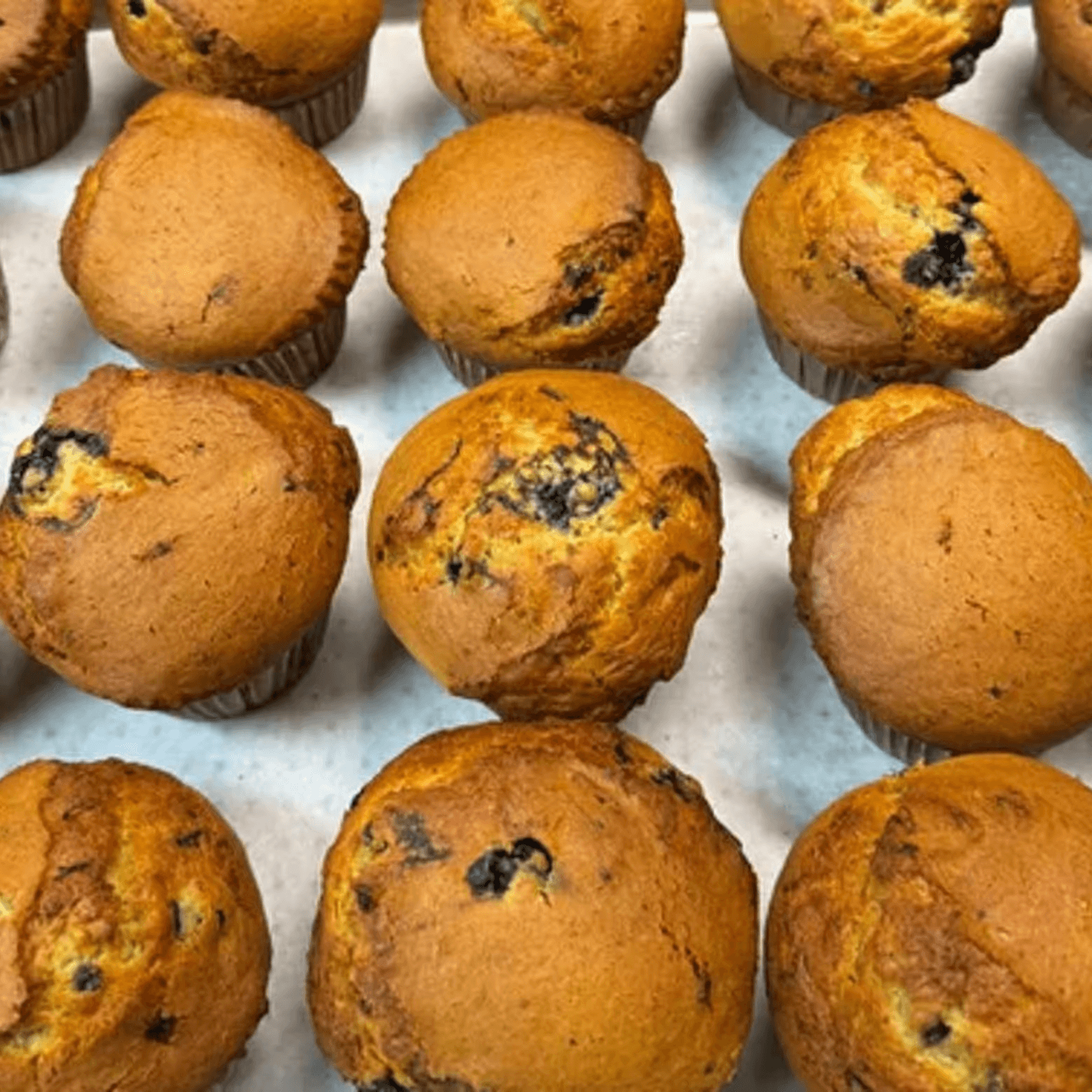 Homemade Blueberry Muffins