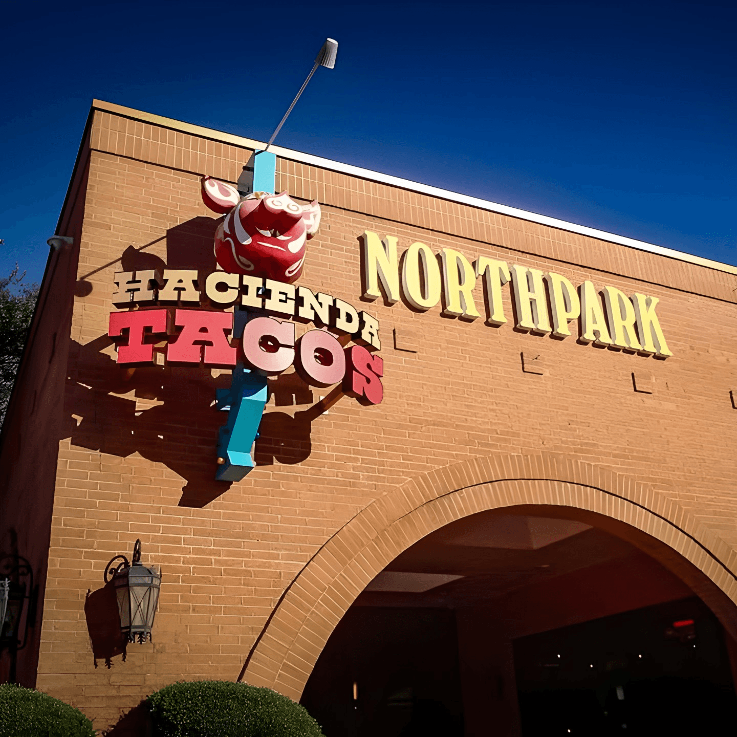Discover Hacienda Tacos  🌮