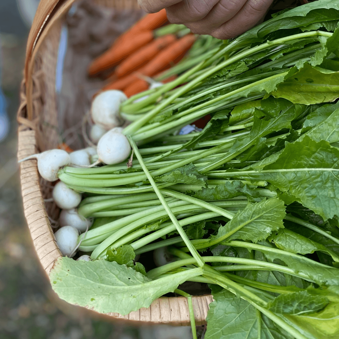 Built on Tradition and Quality