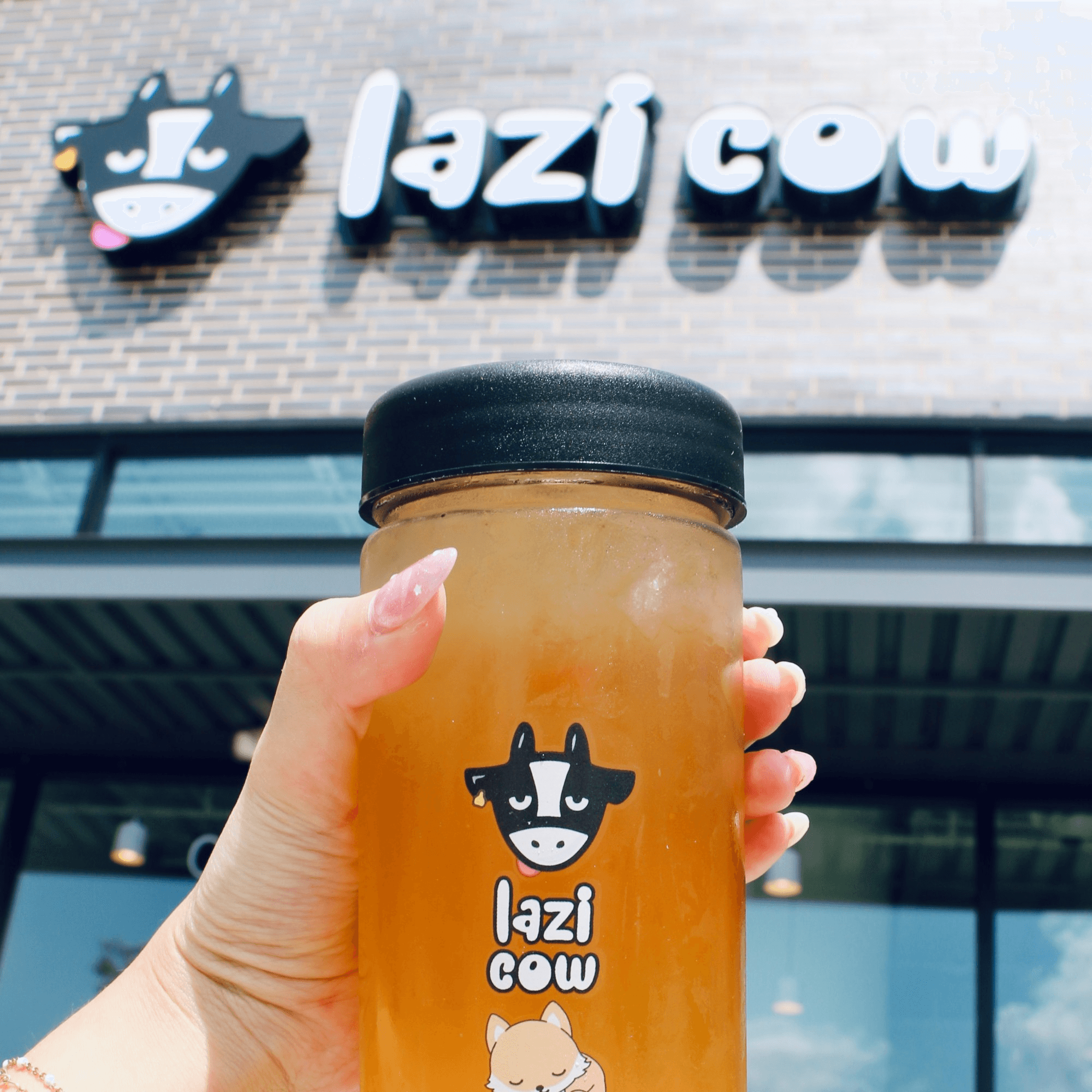 Lazi Cow gallery image #2