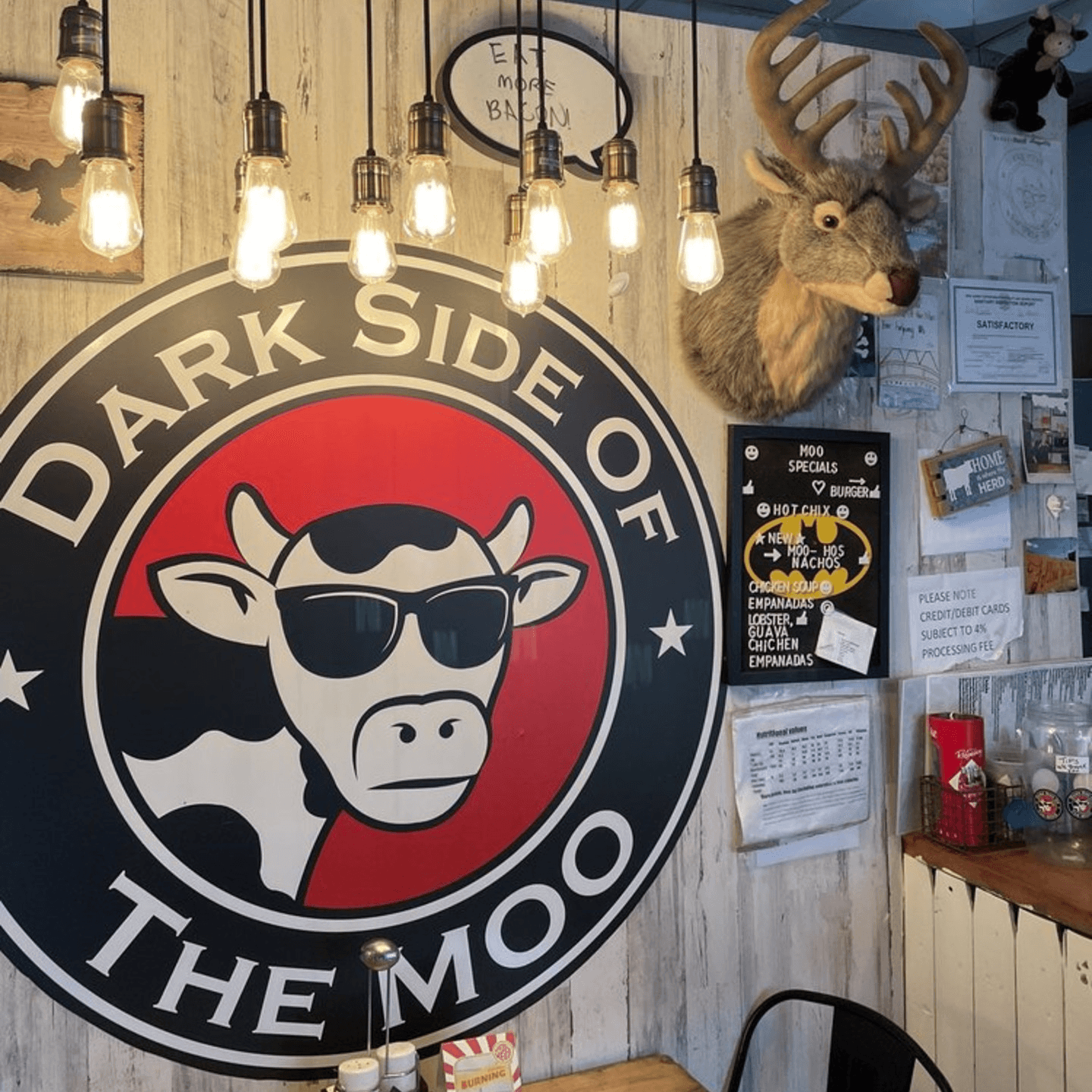 More Than Just a Restaurant🍽️