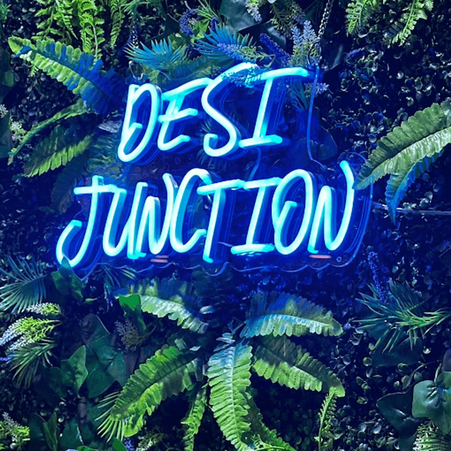 Best indian food in briar forest houston tx desi junction indian