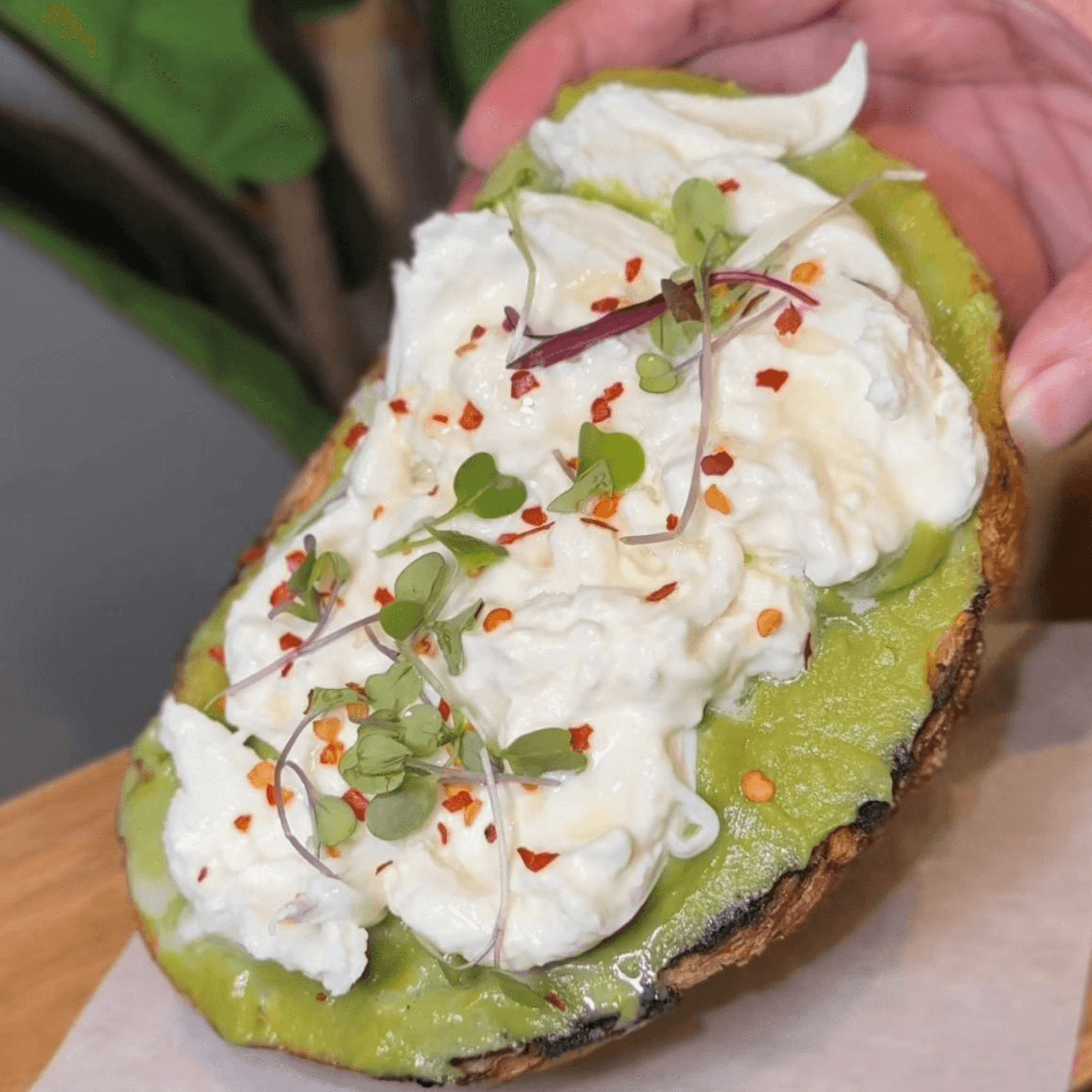 Avocado Burrata Toast.