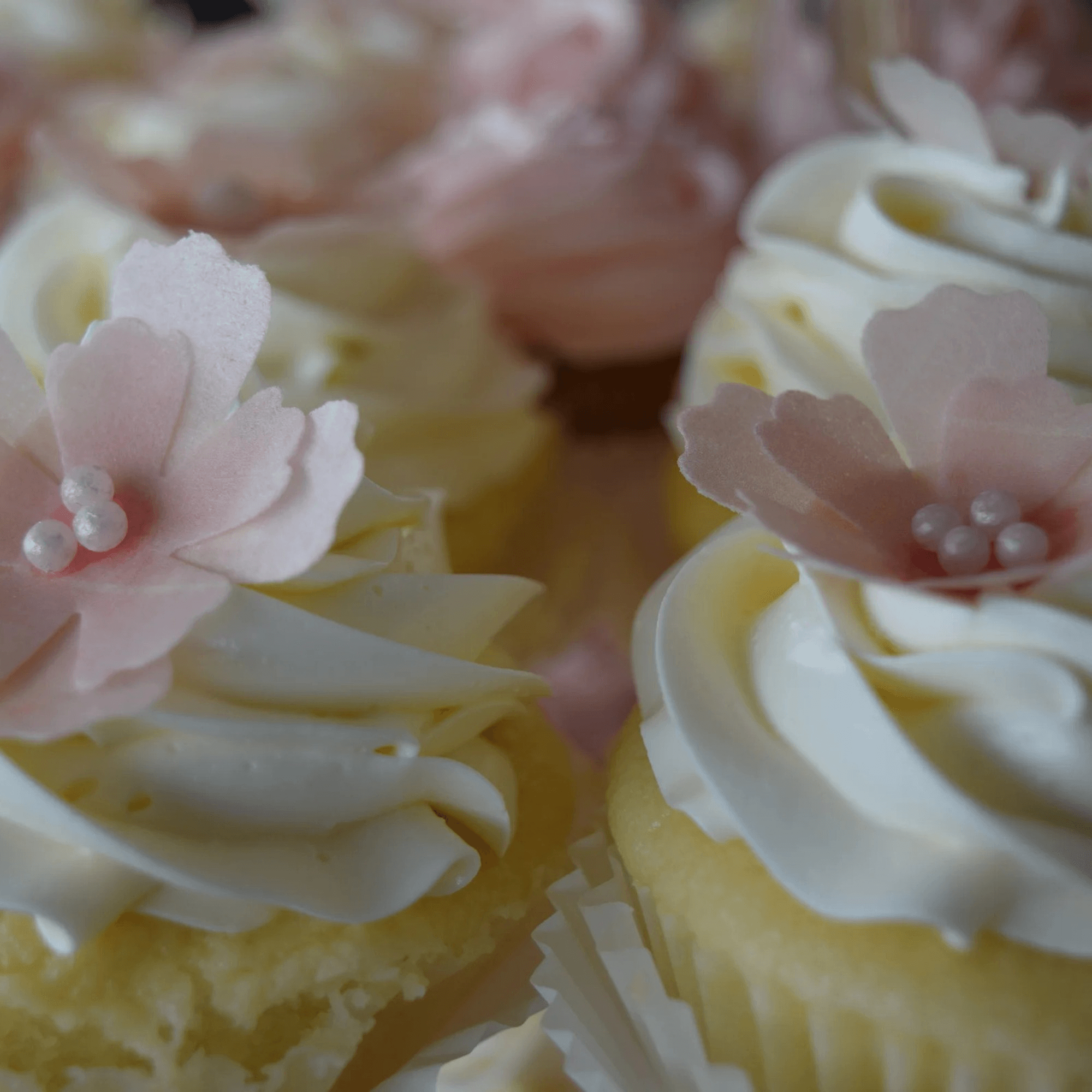 Bread & Butter Kitchen LLC Best american restaurant in Sturgis