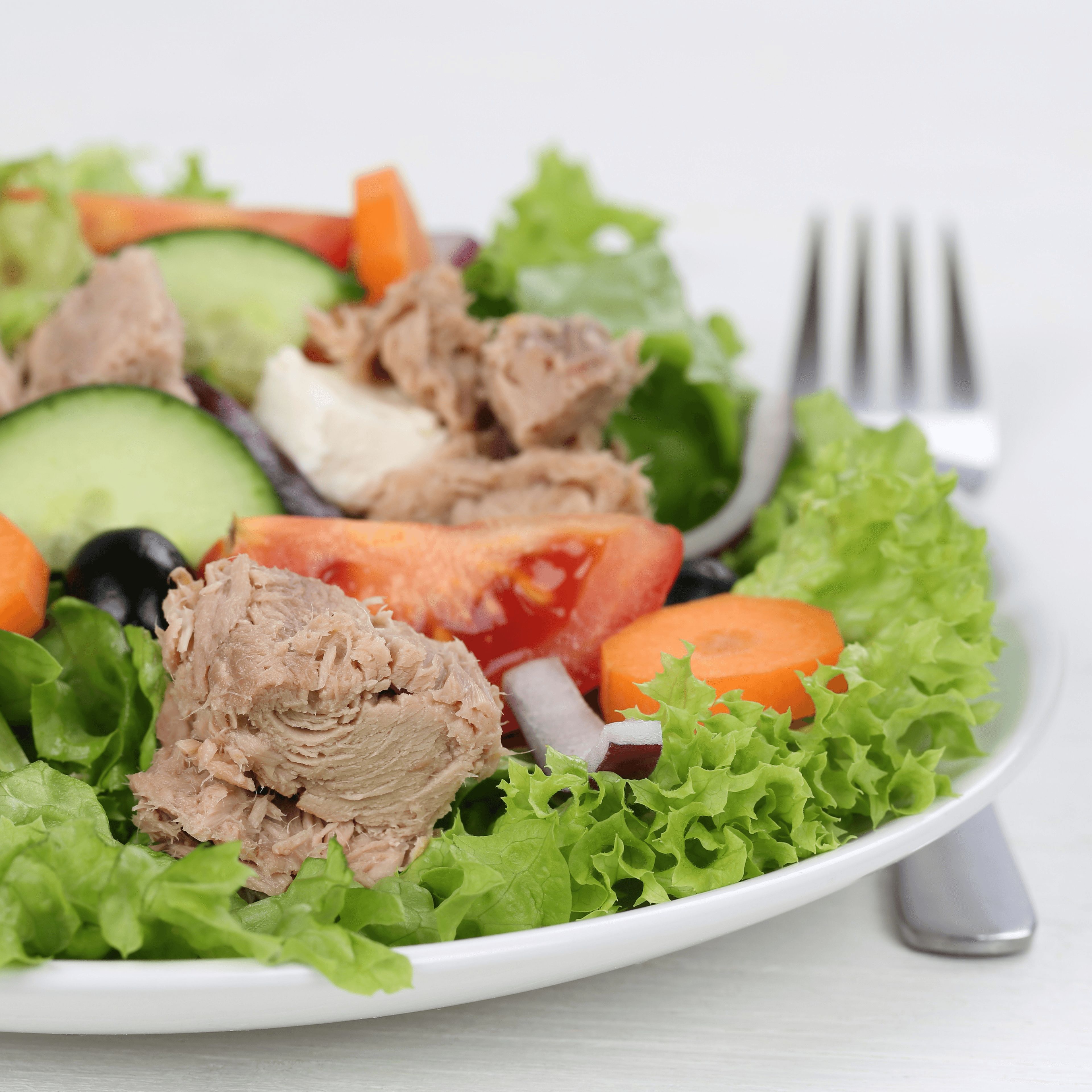 Tuna Salad Appetizer.