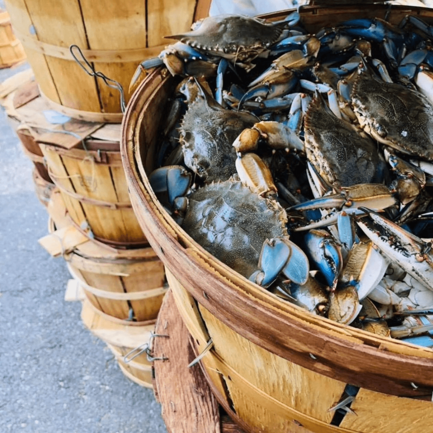 Feast Like a Local: Tips, Tools & Traditions