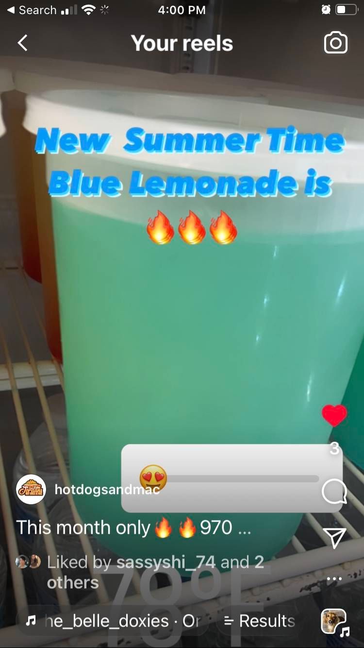 BlueBerry π« Lemonade π(Summer Special).