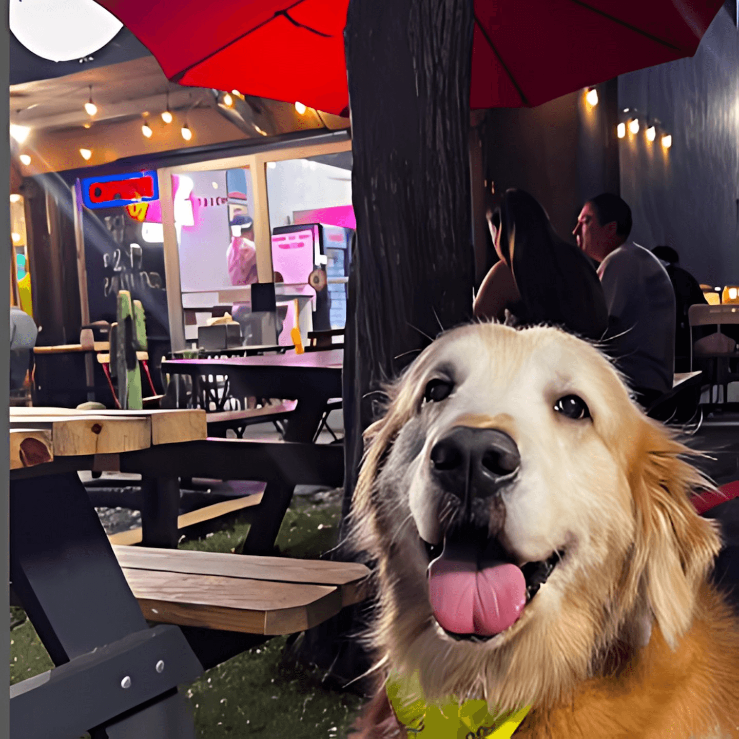 A Place For You & Your Dog🐶