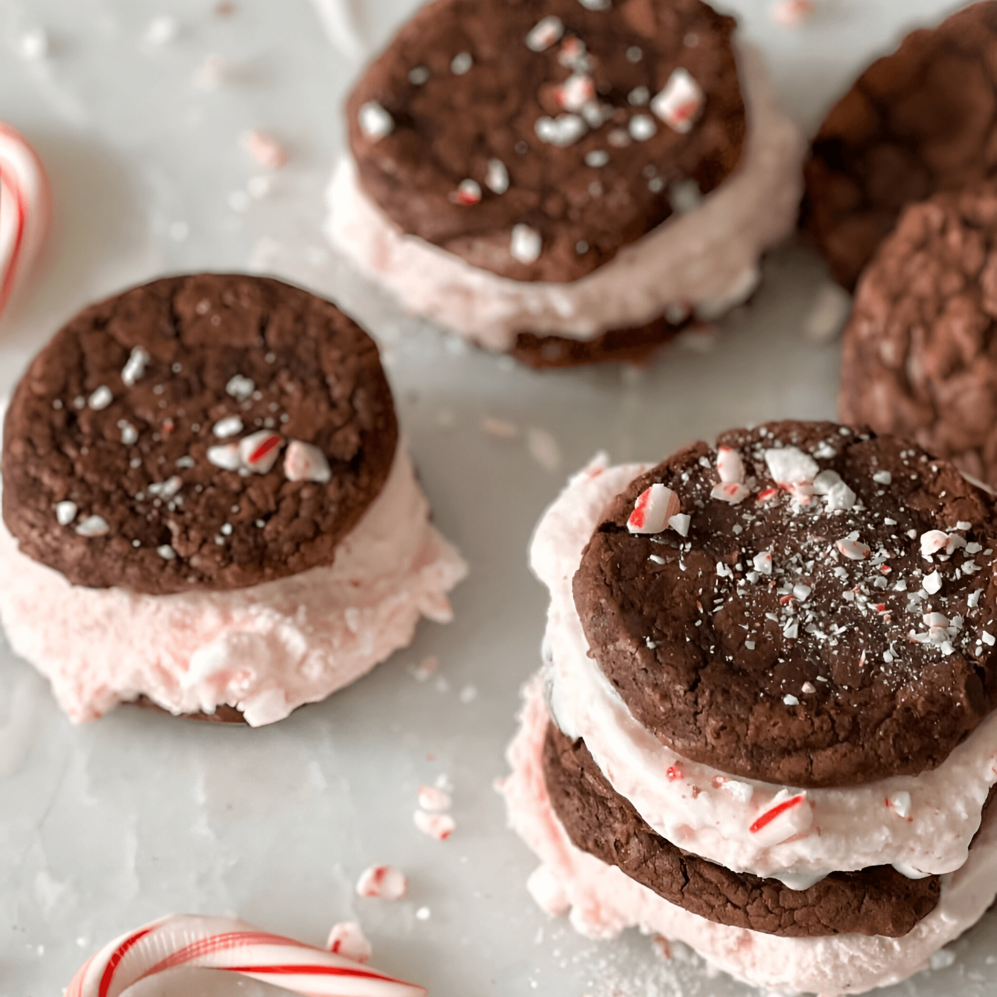 Wise Guys Downtown gallery image #3