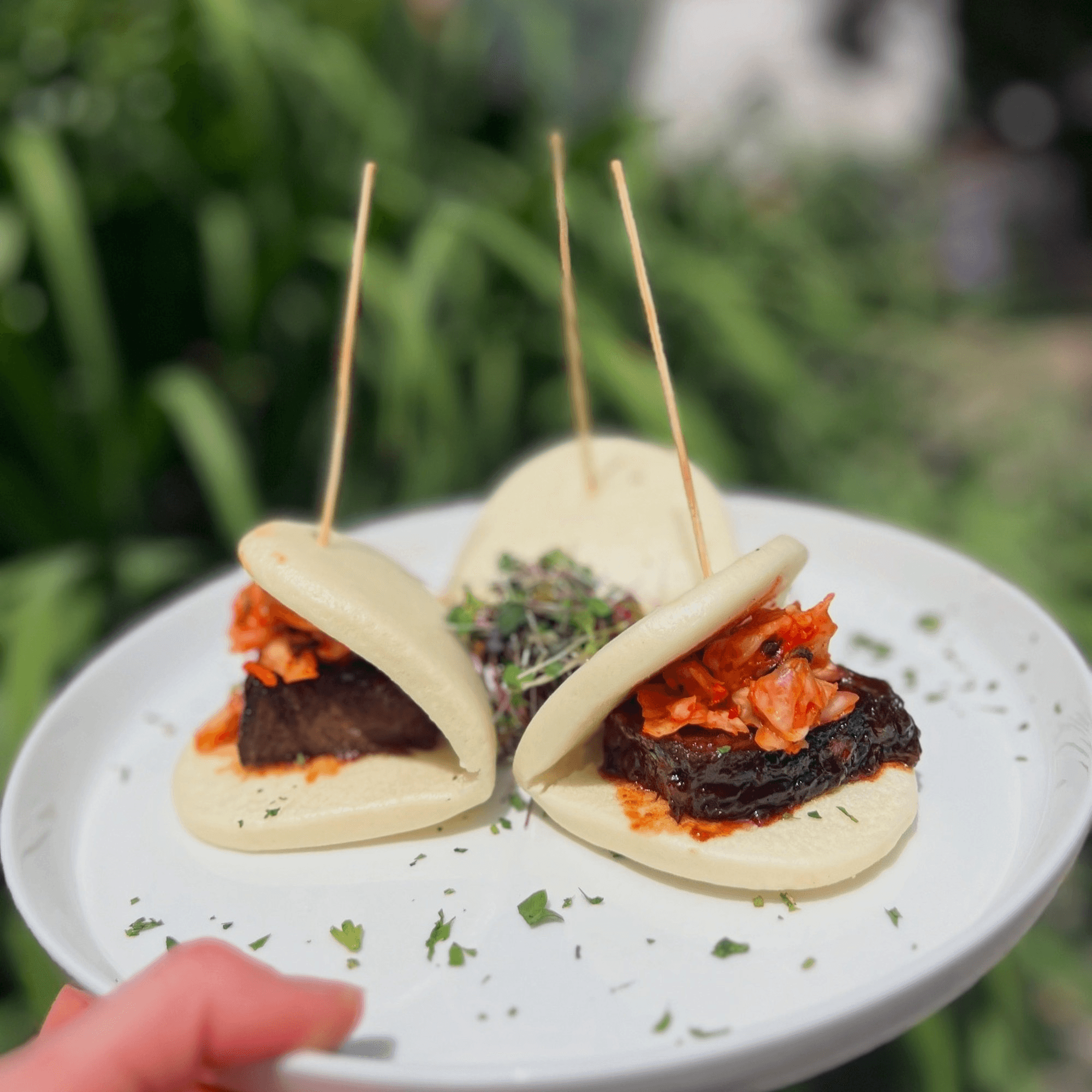 Under the Moon gallery image #1