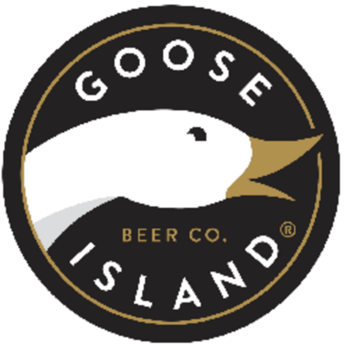 This months Draft Beer Specials 16 oz IPA $5.00