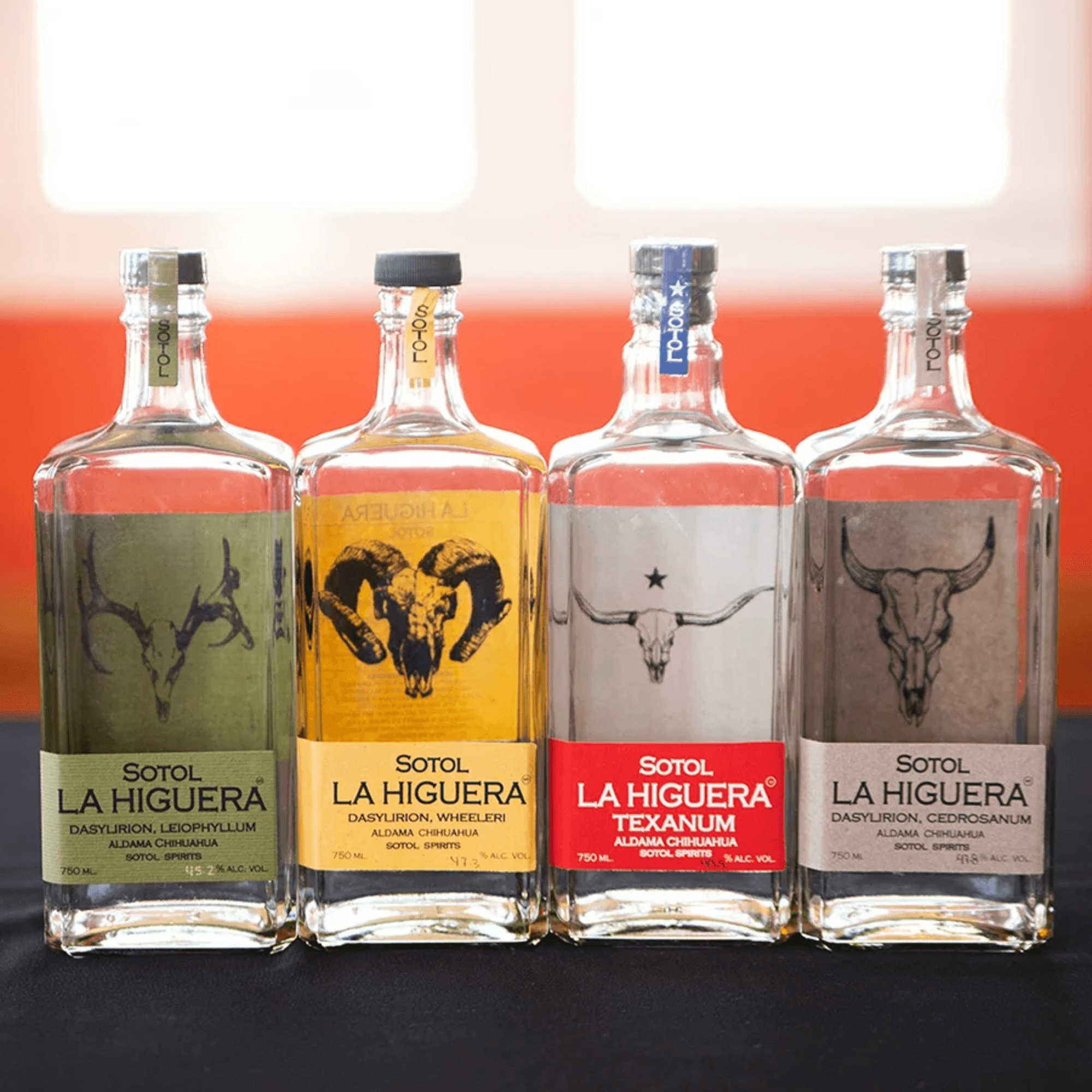 El Gato Negro gallery image #9