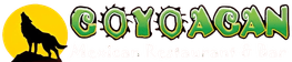 Coyoacan Mexican Restaurant - Valdosta