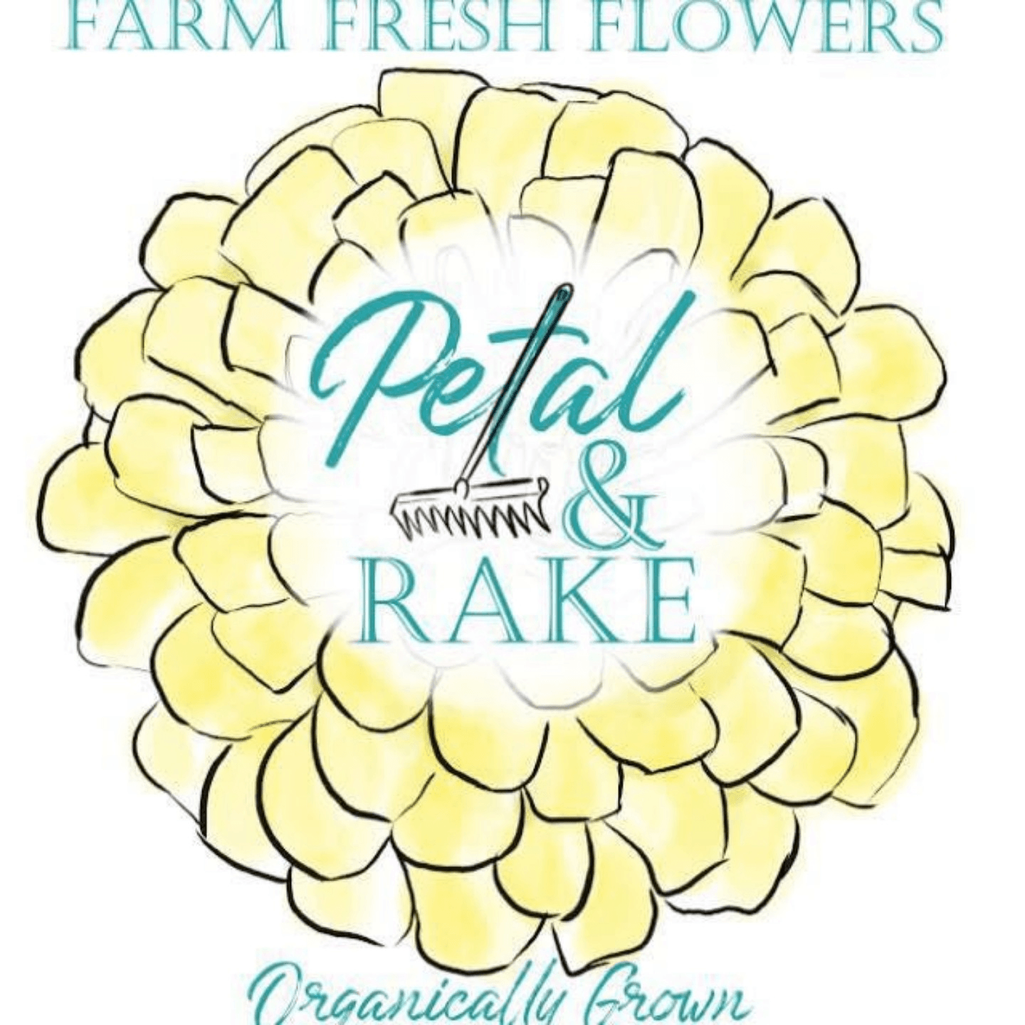 Petal and Rake
