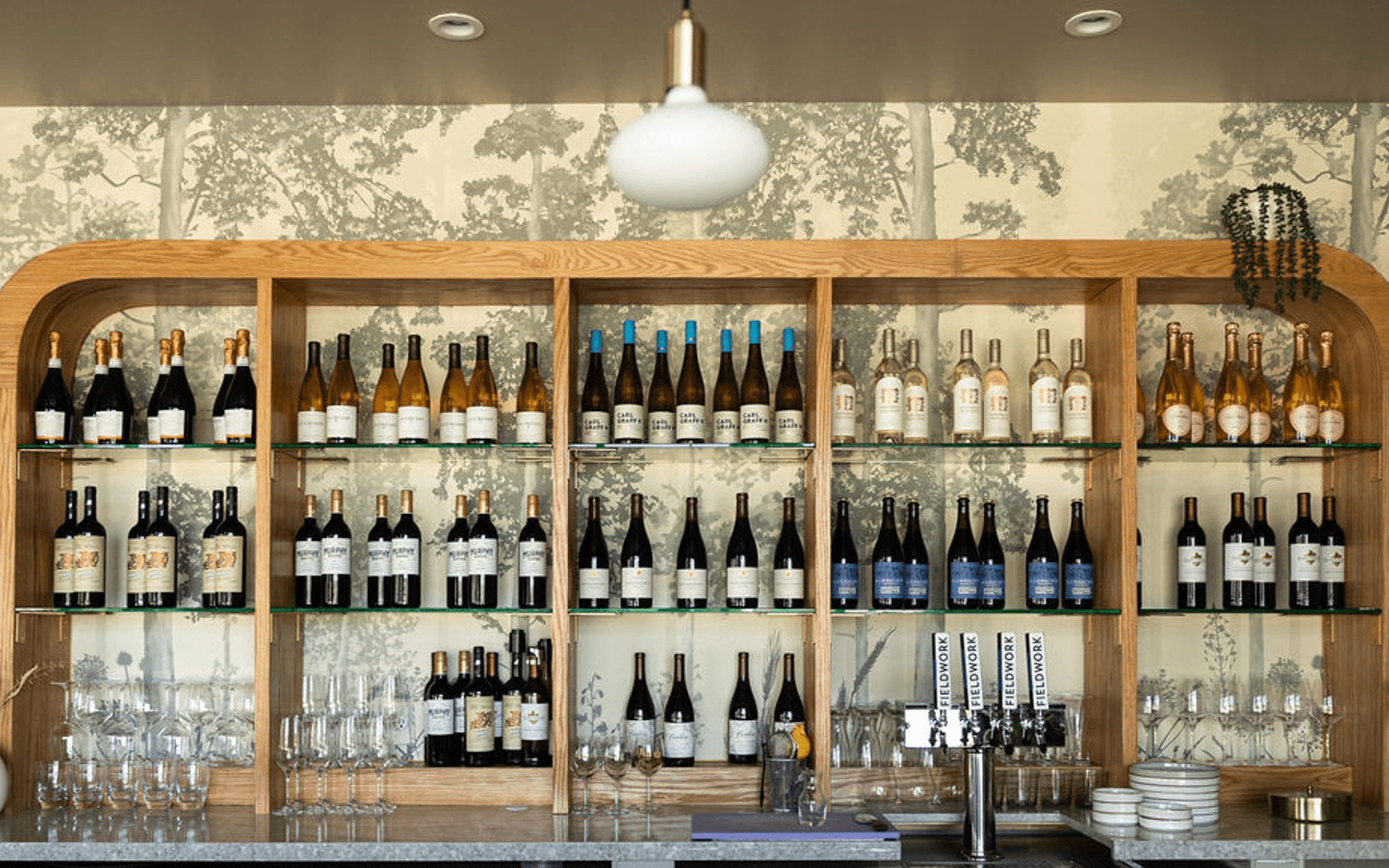 Noor Indian Fusion Kitchen | Best Indian food in Bay Area, CA | Indian food  near me